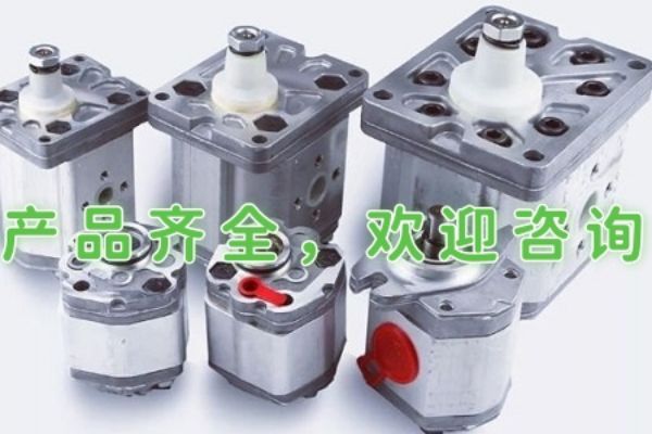 日本不二越IPH-6B-80-11,IPH-6B-100-11齒輪油泵型號(hào)說(shuō)明及參數(shù)