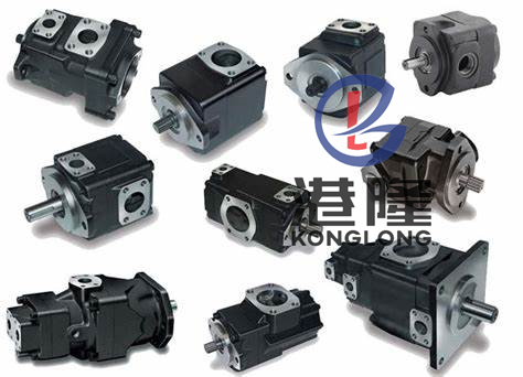 派克T6CCZ葉片泵